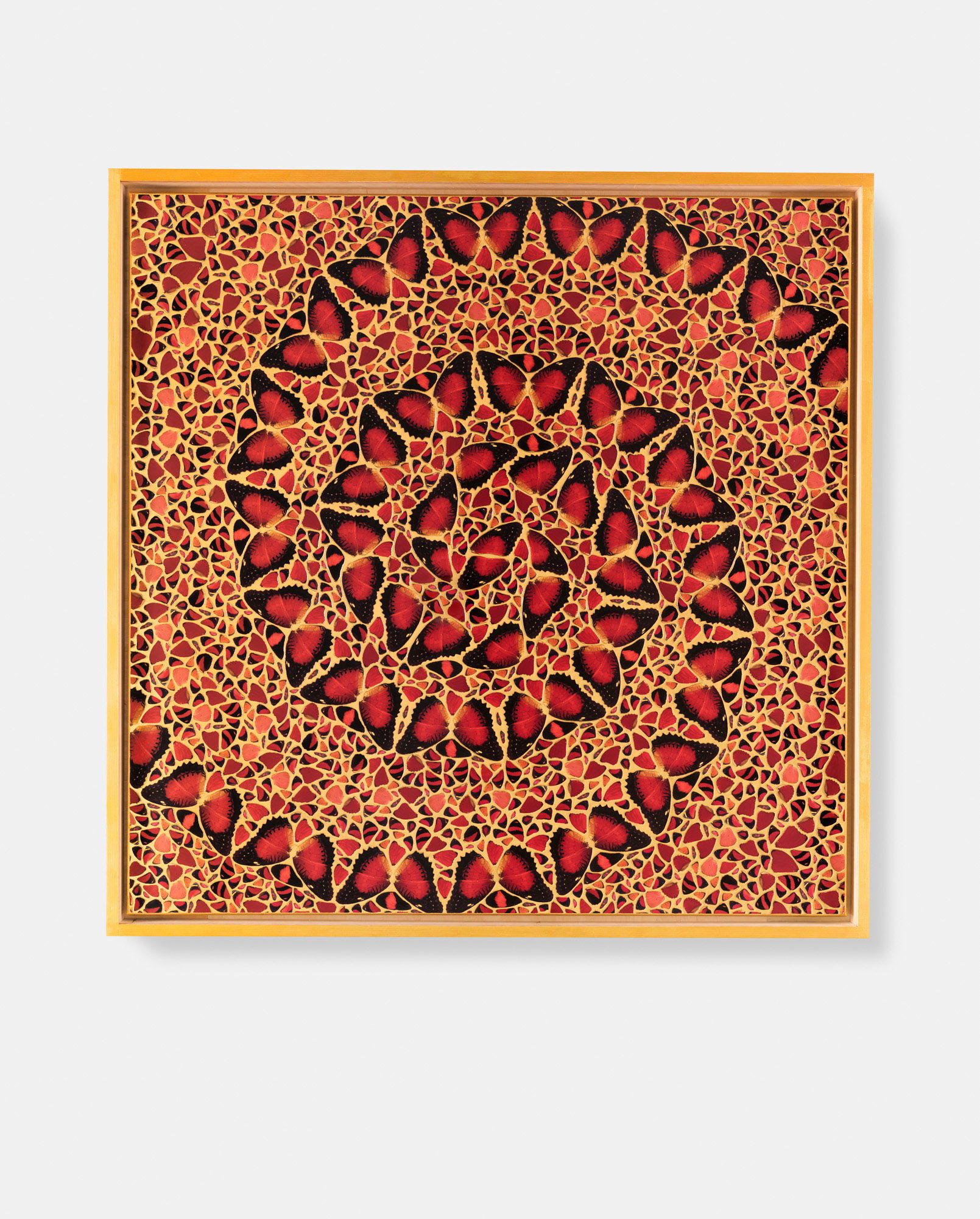 Tarabai / Galla Placidia / Adelaide / Xiaoxu / Pulcheria 2