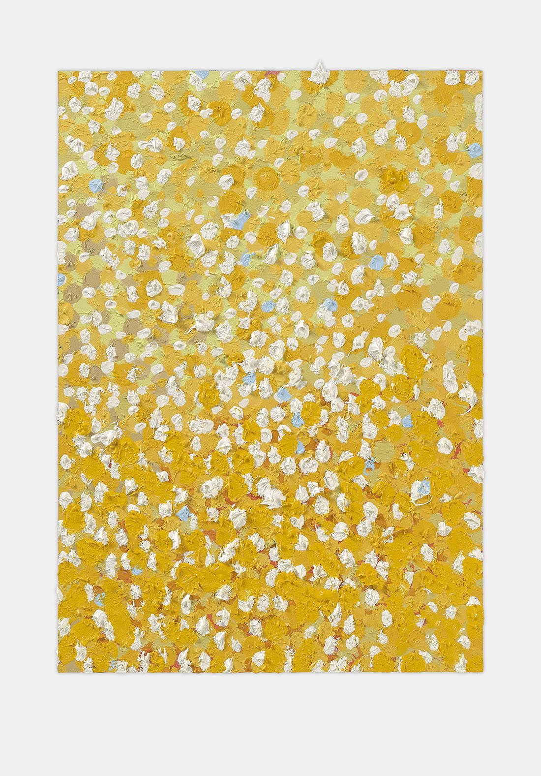 Faithful Veil  1 main image