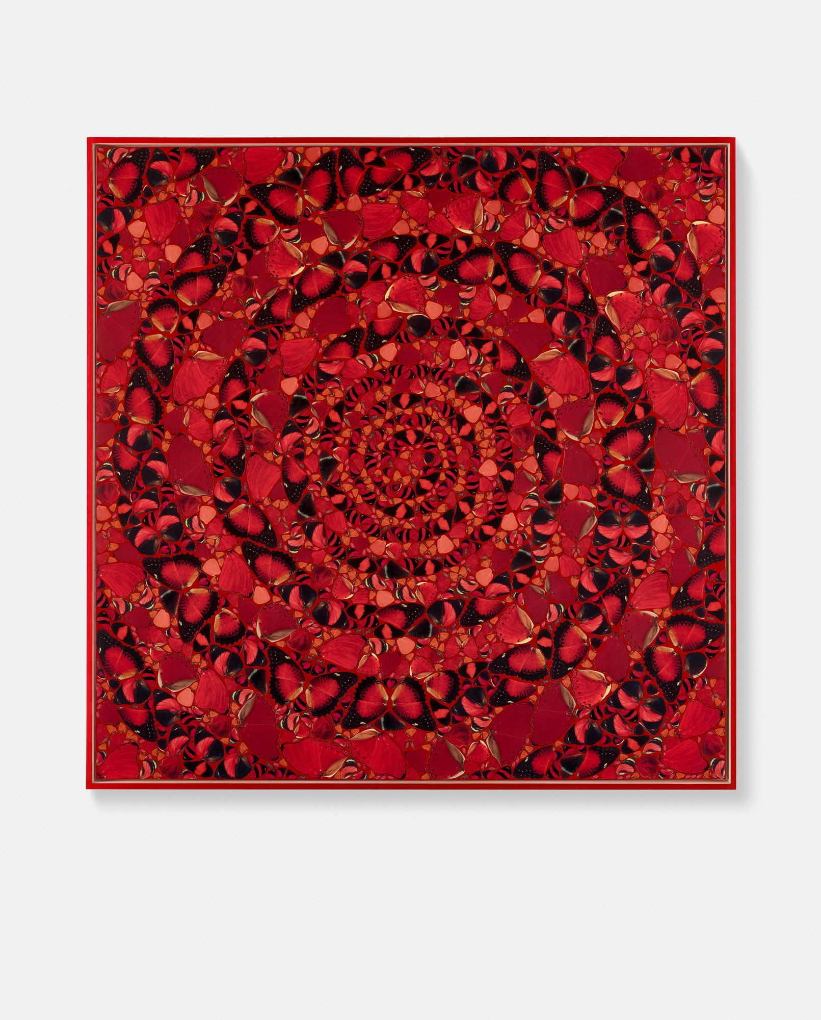 Kandake / Wanrong / Aquilia Severa /Menen Asfaw / Jitō 6