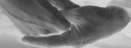 Personal exhibition 'Gestures of Fear' by Viktorija Rybakova at Rupert Art Center