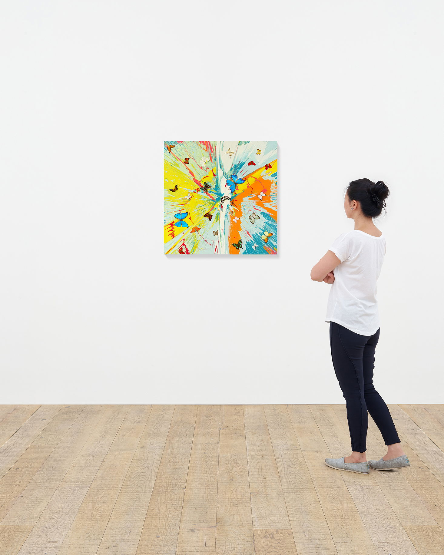 Transient Ephemera scale image