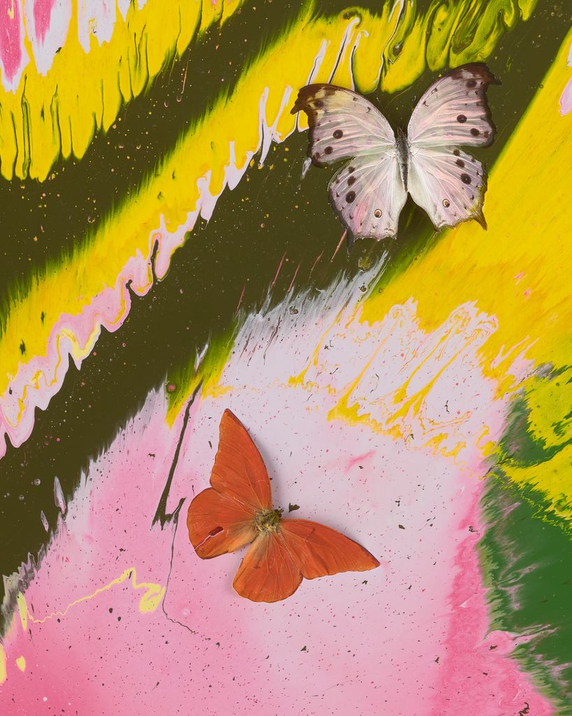 Beautiful Red Sky in the Morning Painting (with Butterflies) 3