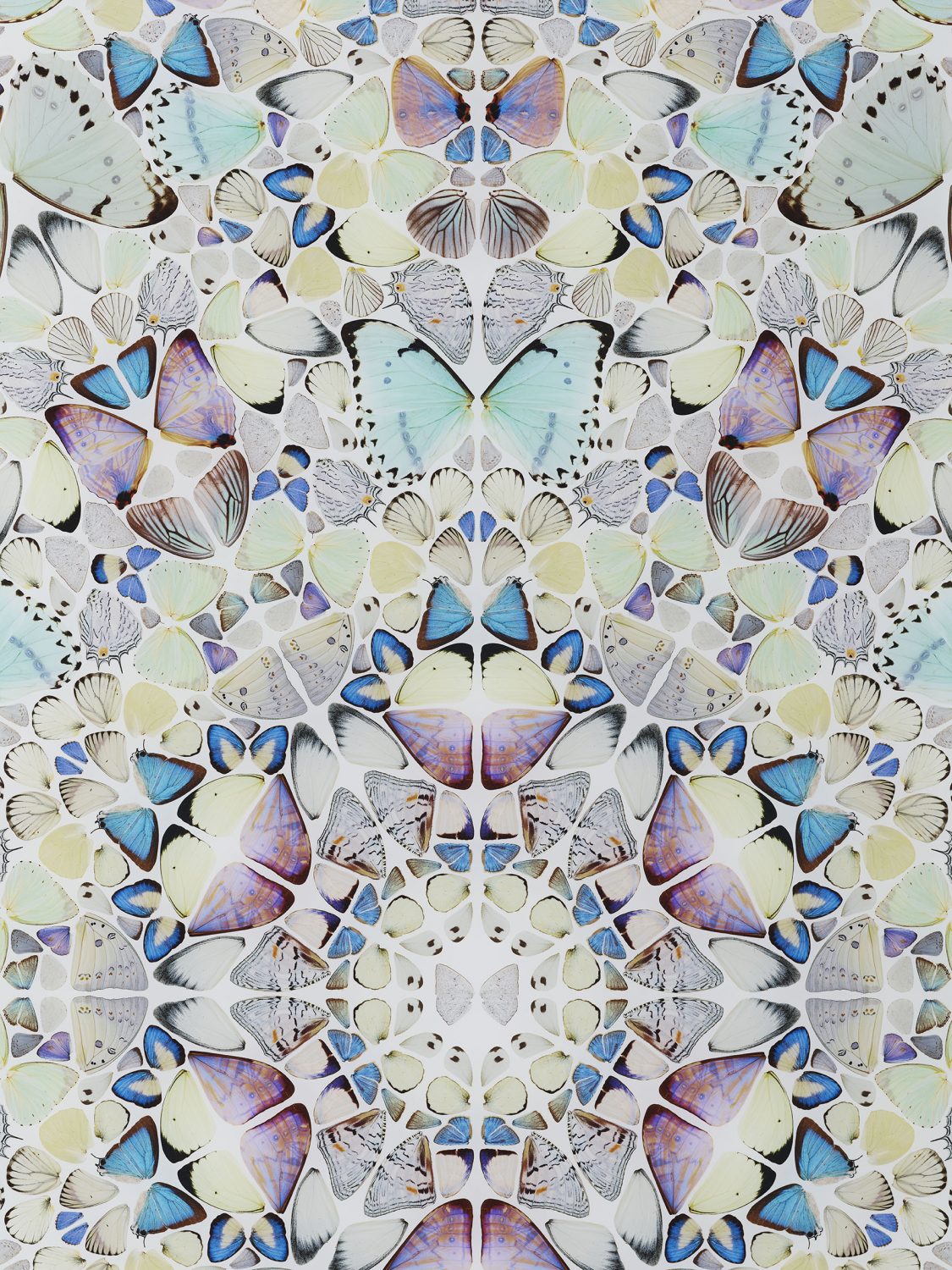 Air image #2