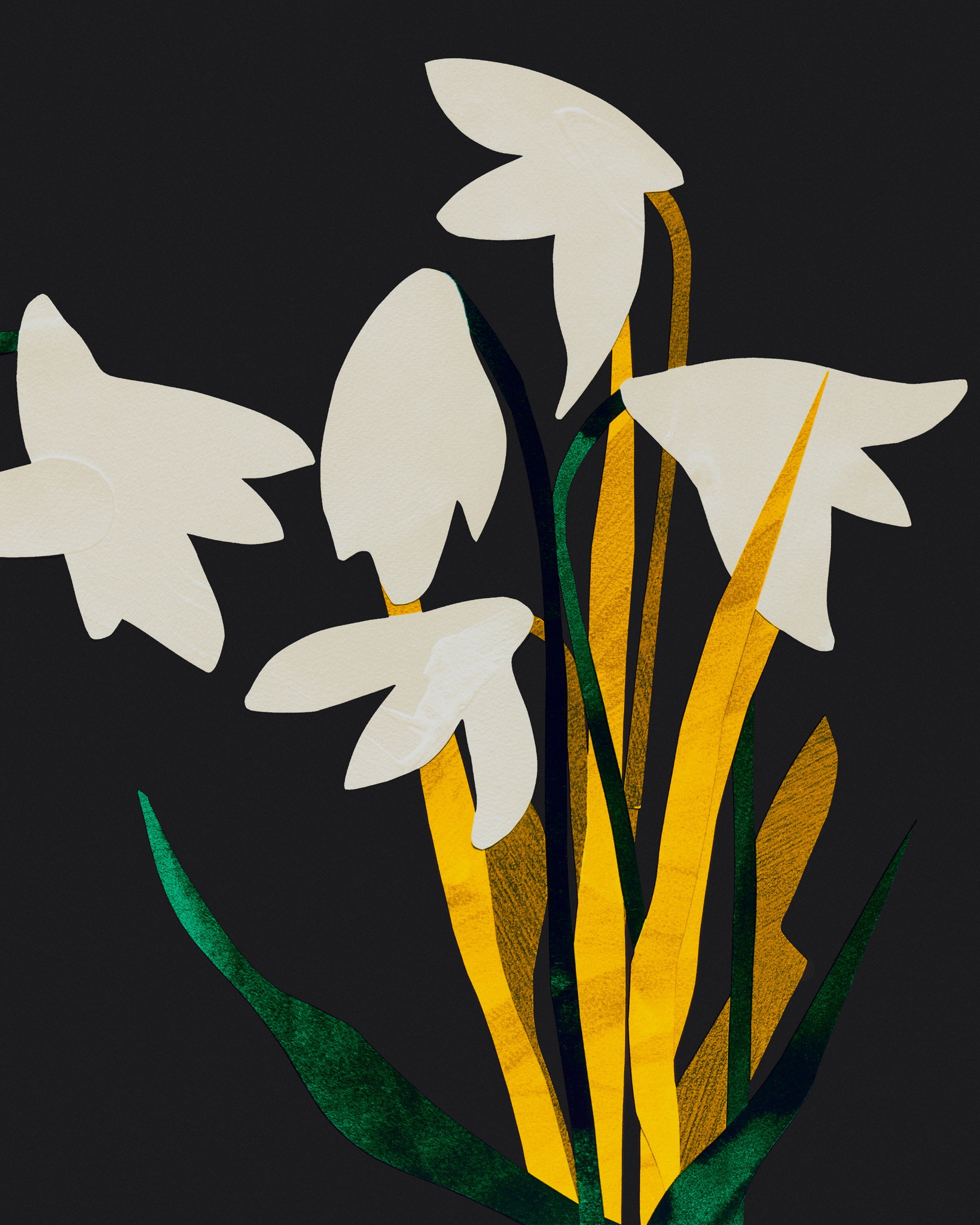 Snowlight image #2