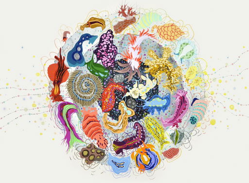Review: Renee Robbins at Epiphany Center for the Arts