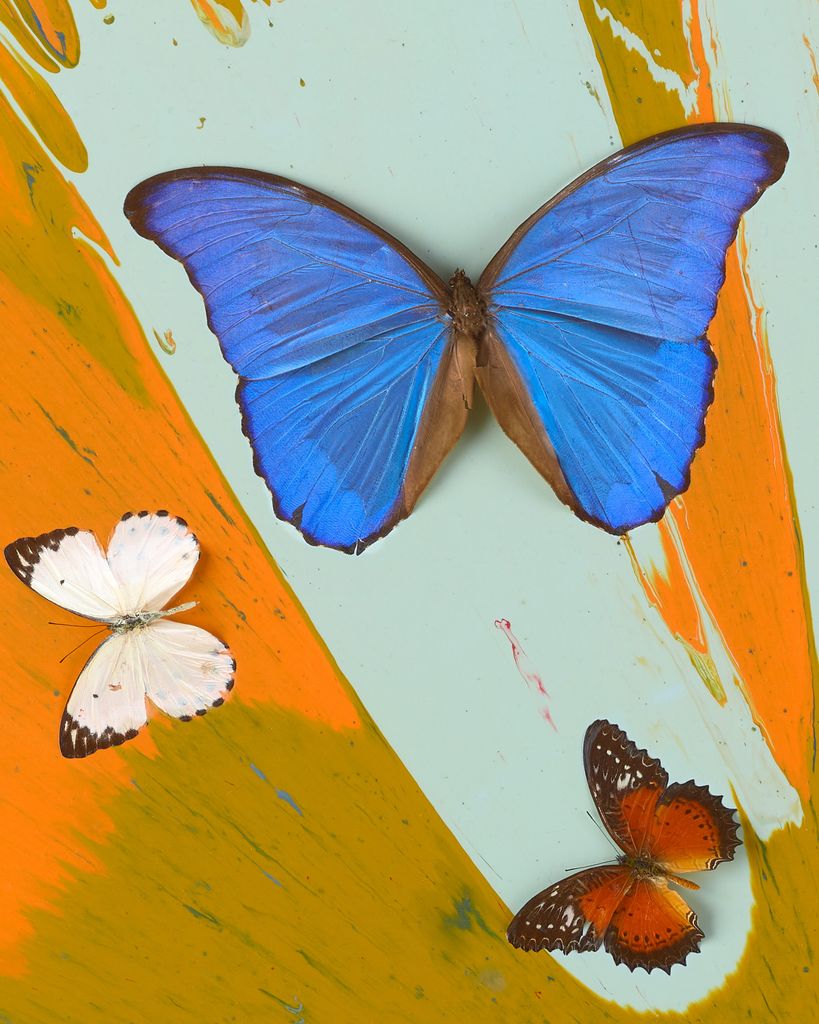 Beautiful To Love Without Measure Painting (with Butterflies) 3