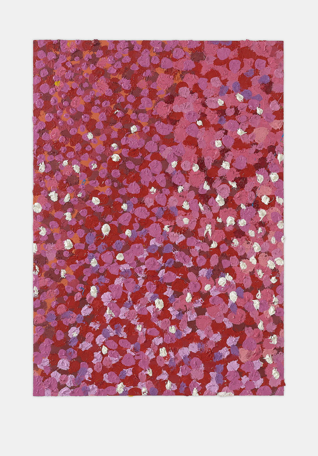 Capacious Veil 1 main image