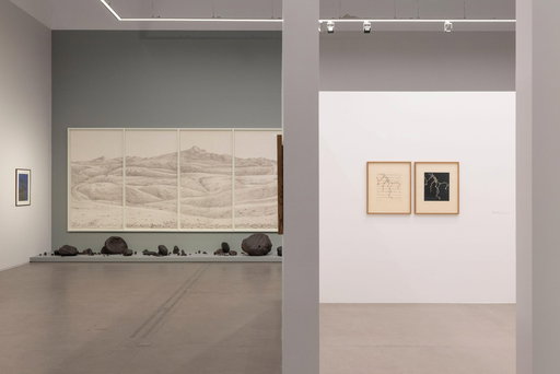 The Shape of Urdu Beyond Words