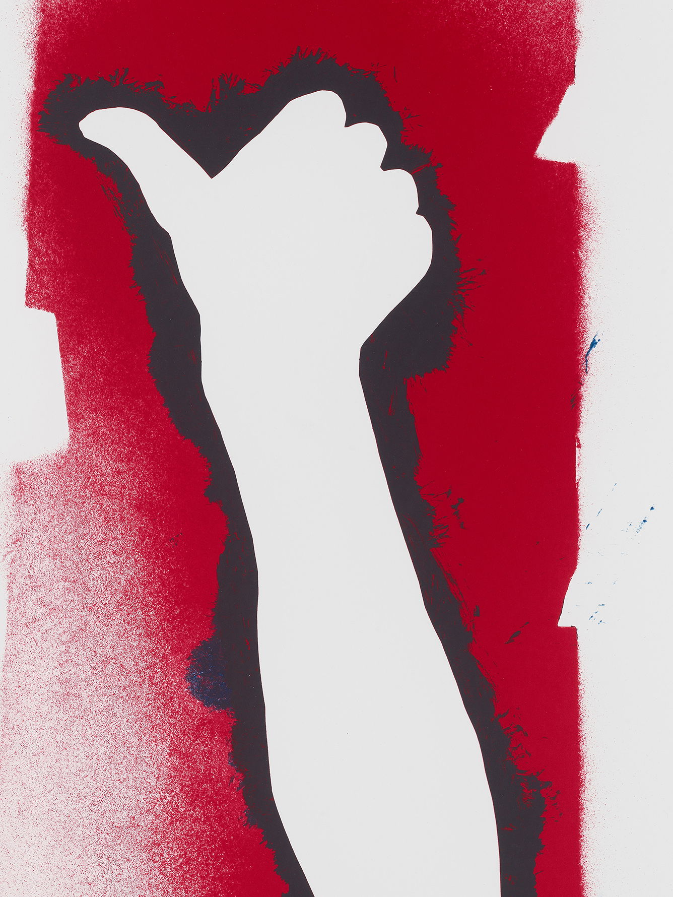 Stars and Stripes I image #2