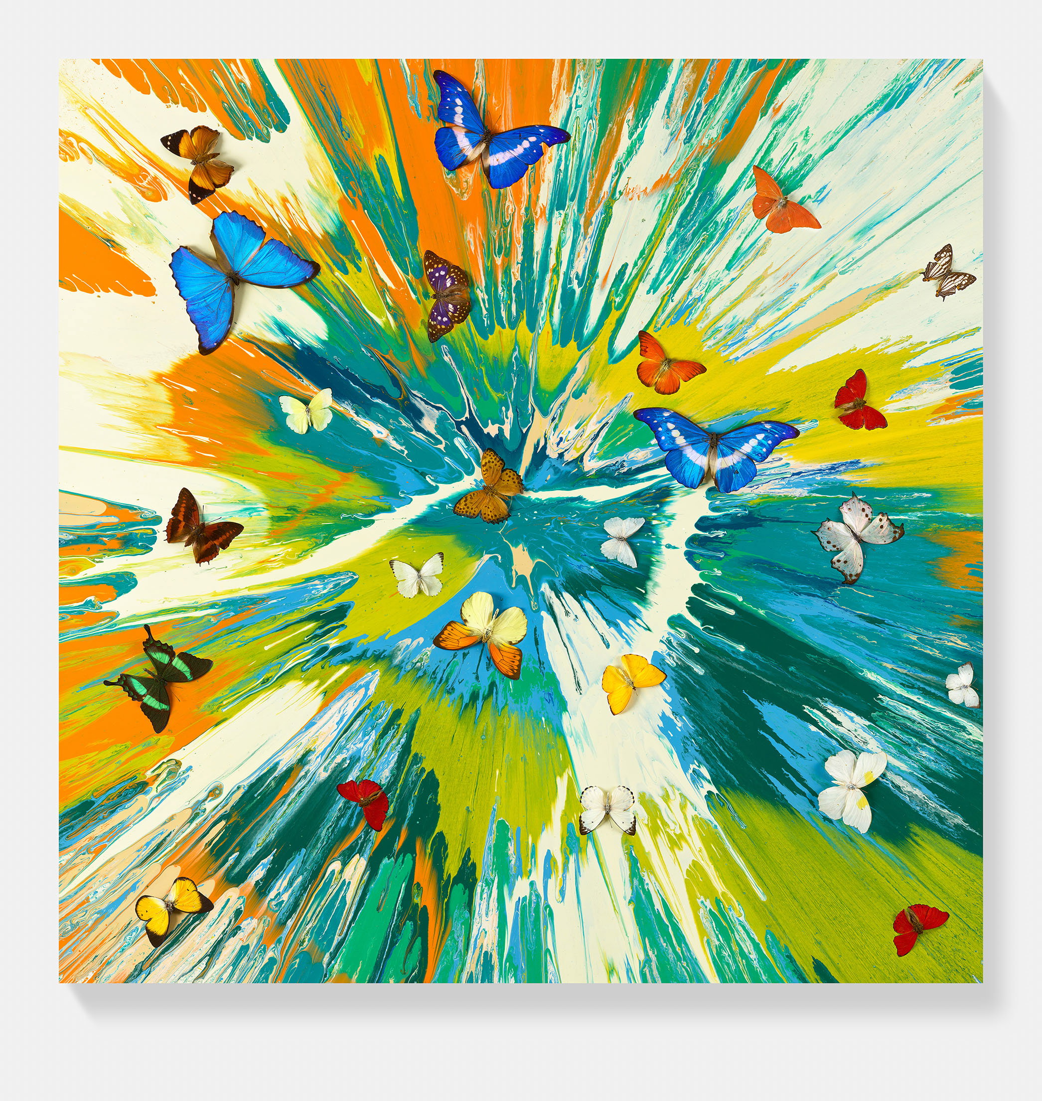 Vital Aura | HENI Editions