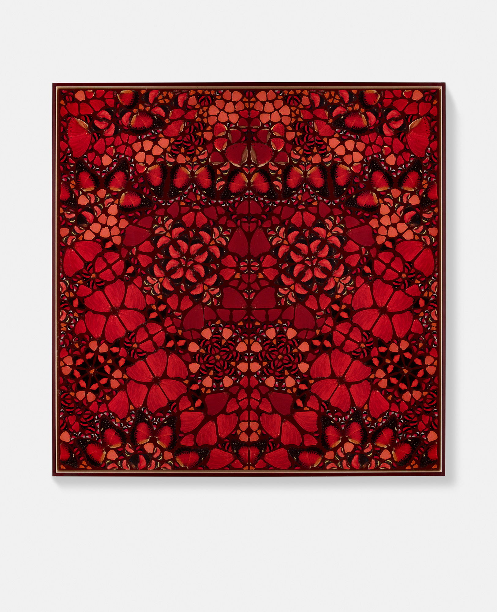 Koken / Eleanor / Livia / Ying / Mentewab 4