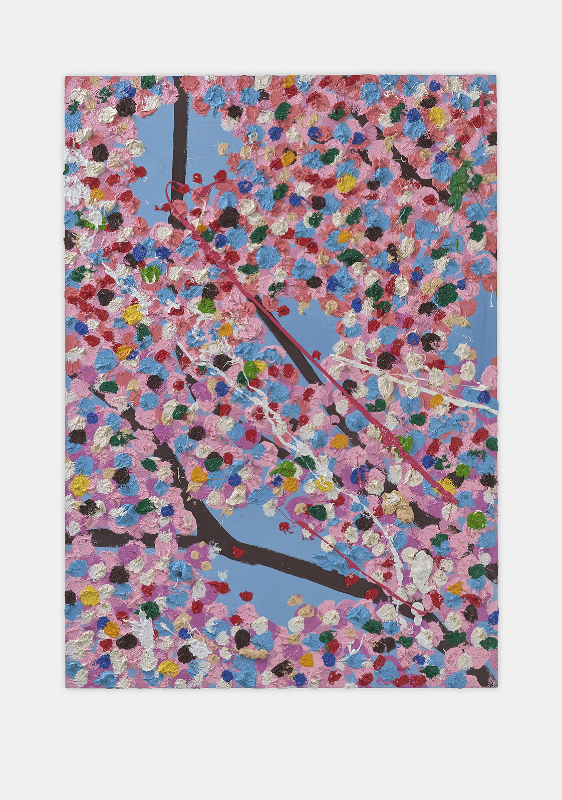 Superstar Blossom 1 main image
