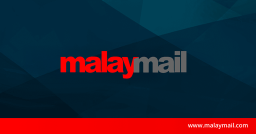 The 15th Shanghai Biennale Opens - Does the flower hear the bee?