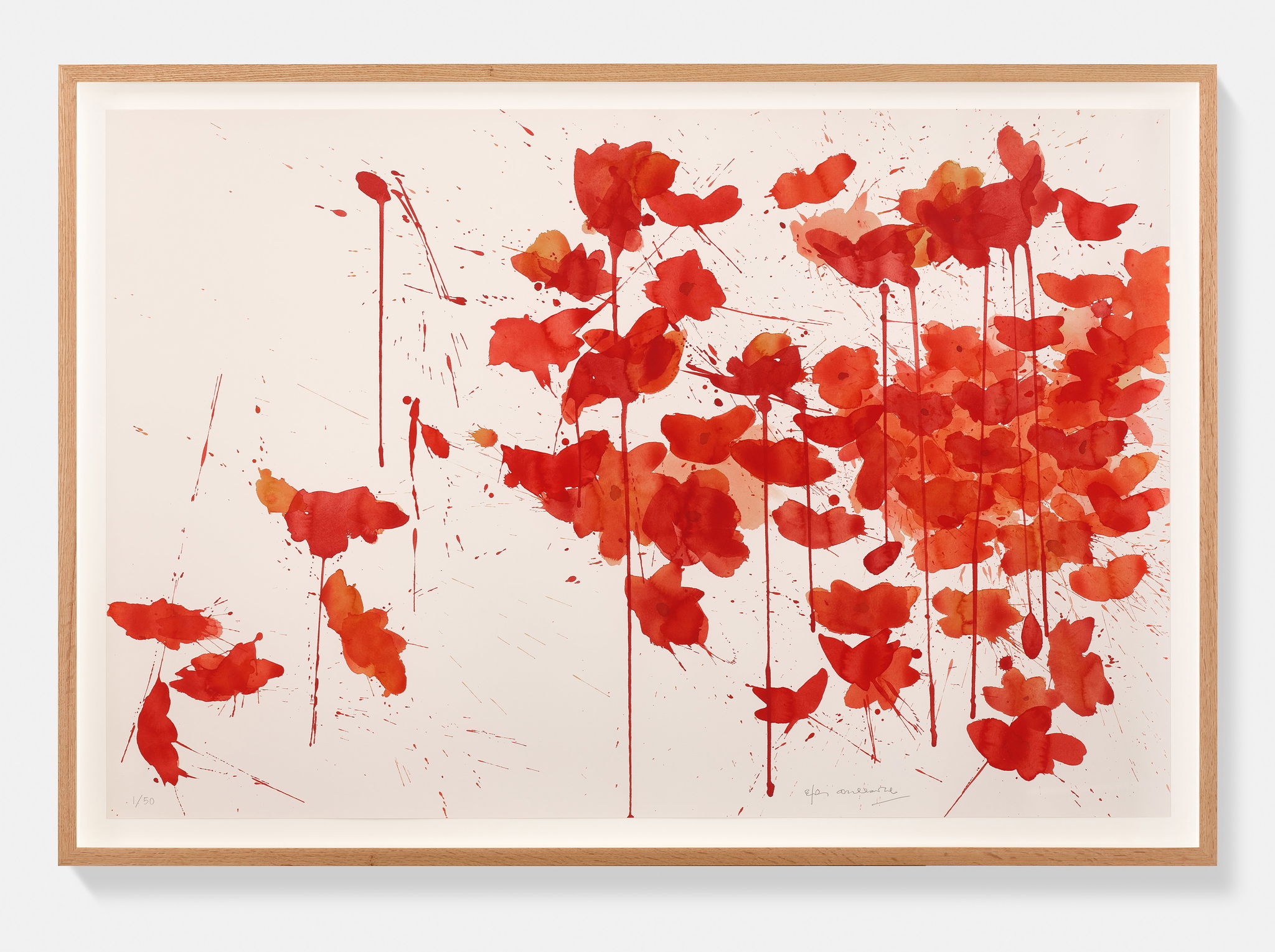 Vibrancy and Grace image #1 main image