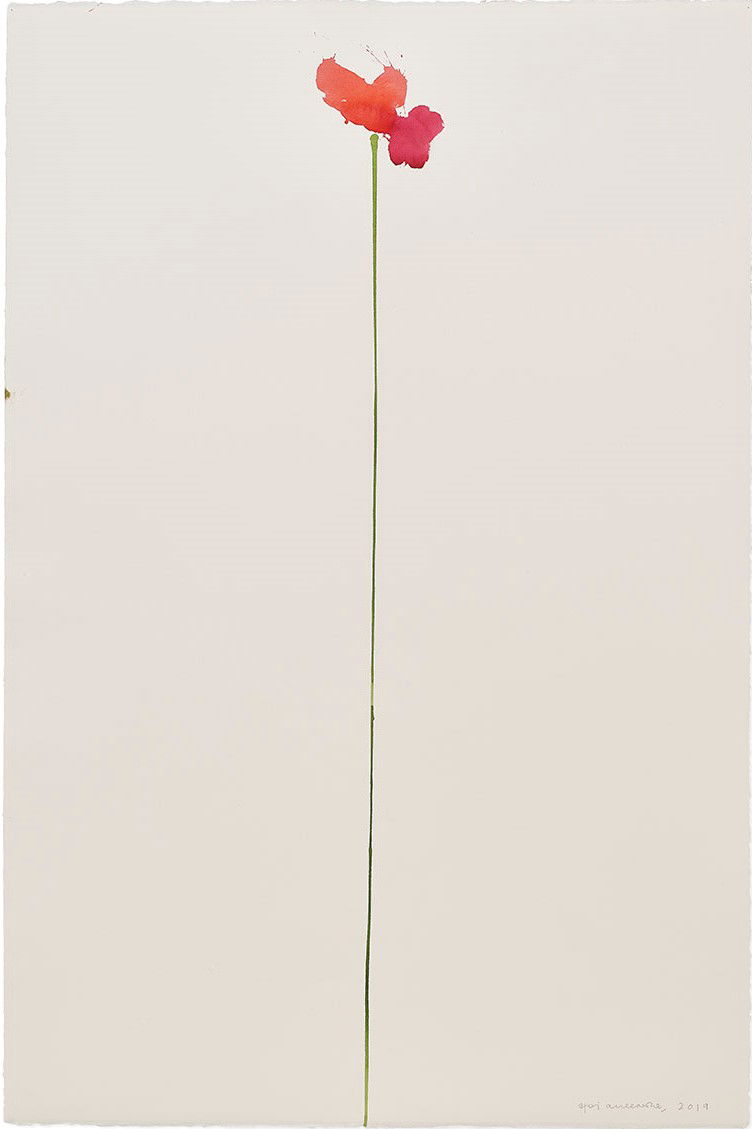 Vesper 251 1 main image