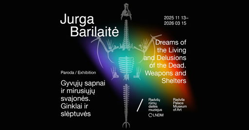 Jurga Barilaitė’s exhibition 'Dreams of the Living and Delusions of the Dead. Weapons and Shelters' at the Radvila Palace Museum of Art