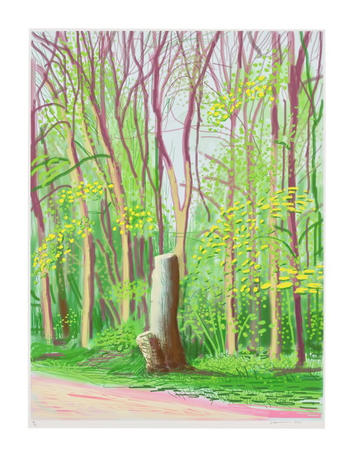 David Hockney Work Heads to Auction