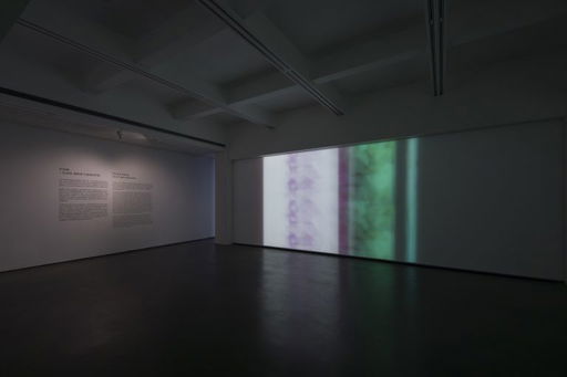 Peng Zuqiang “Short-term Histories” at Rockbund Art Museum, Shanghai — Mousse Magazine and Publishing