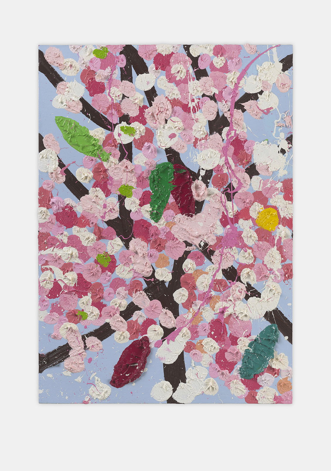 Seeking Blossom 1 main image