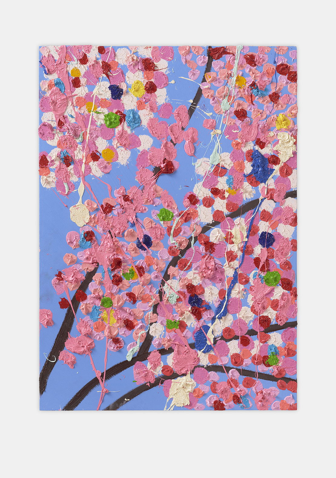 Sunshine Blossom 1 main image