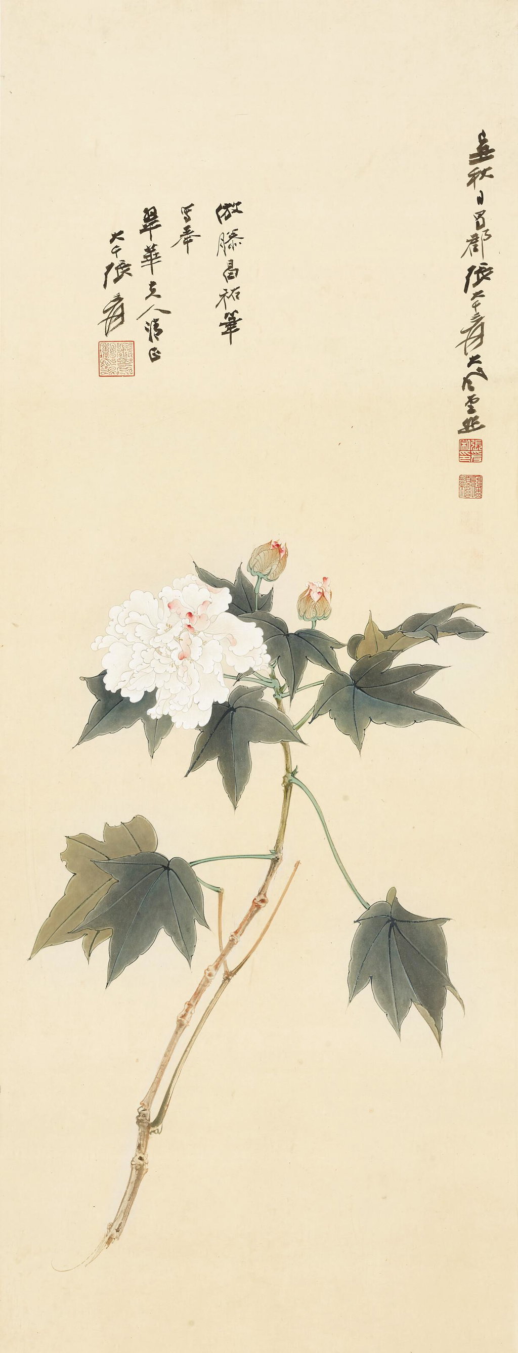 Hibiscus. Image courtesy of Christie's