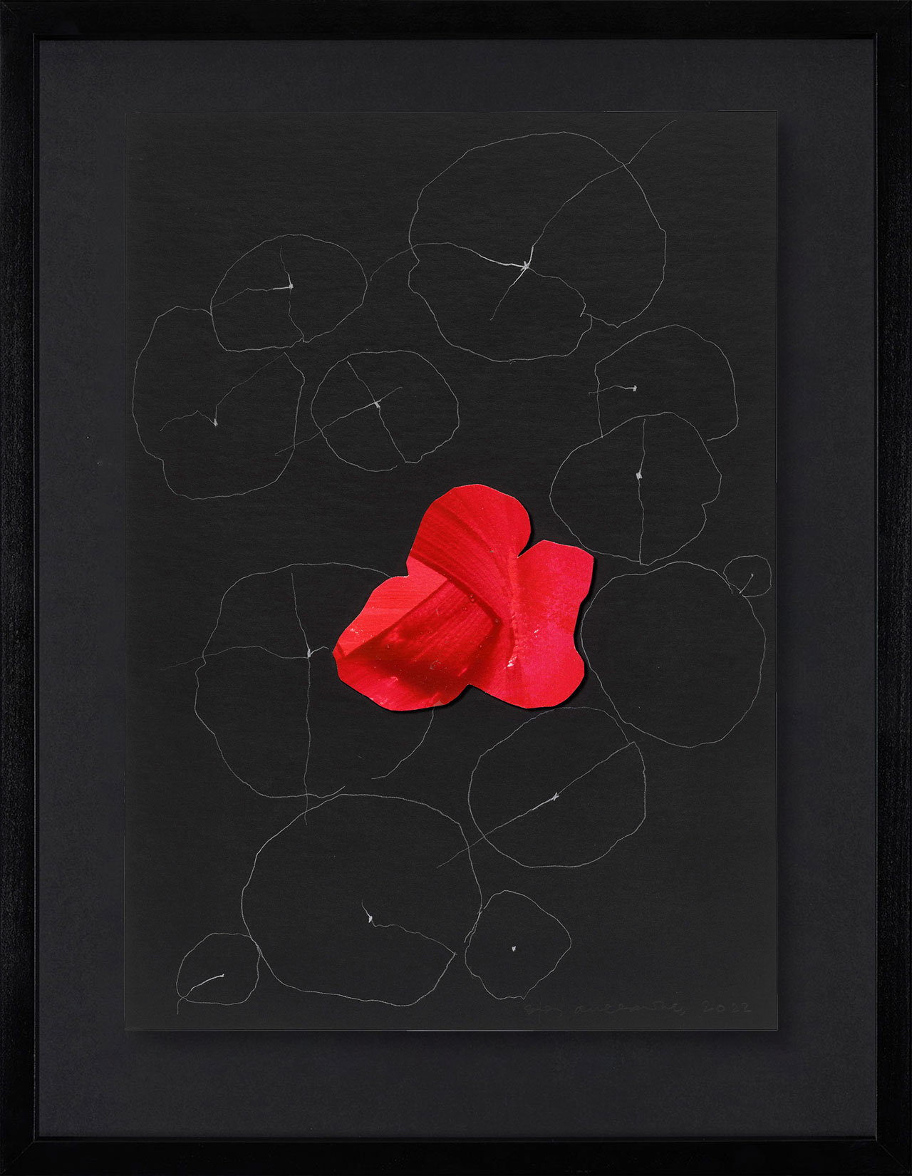 Peel Cottage Garden  1 main image