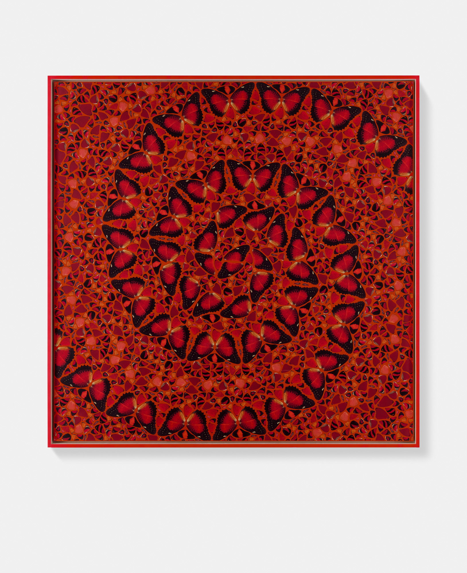 Ageltrude / Kokejin / Xiaocigao / Eleni / Hatshepsut 5