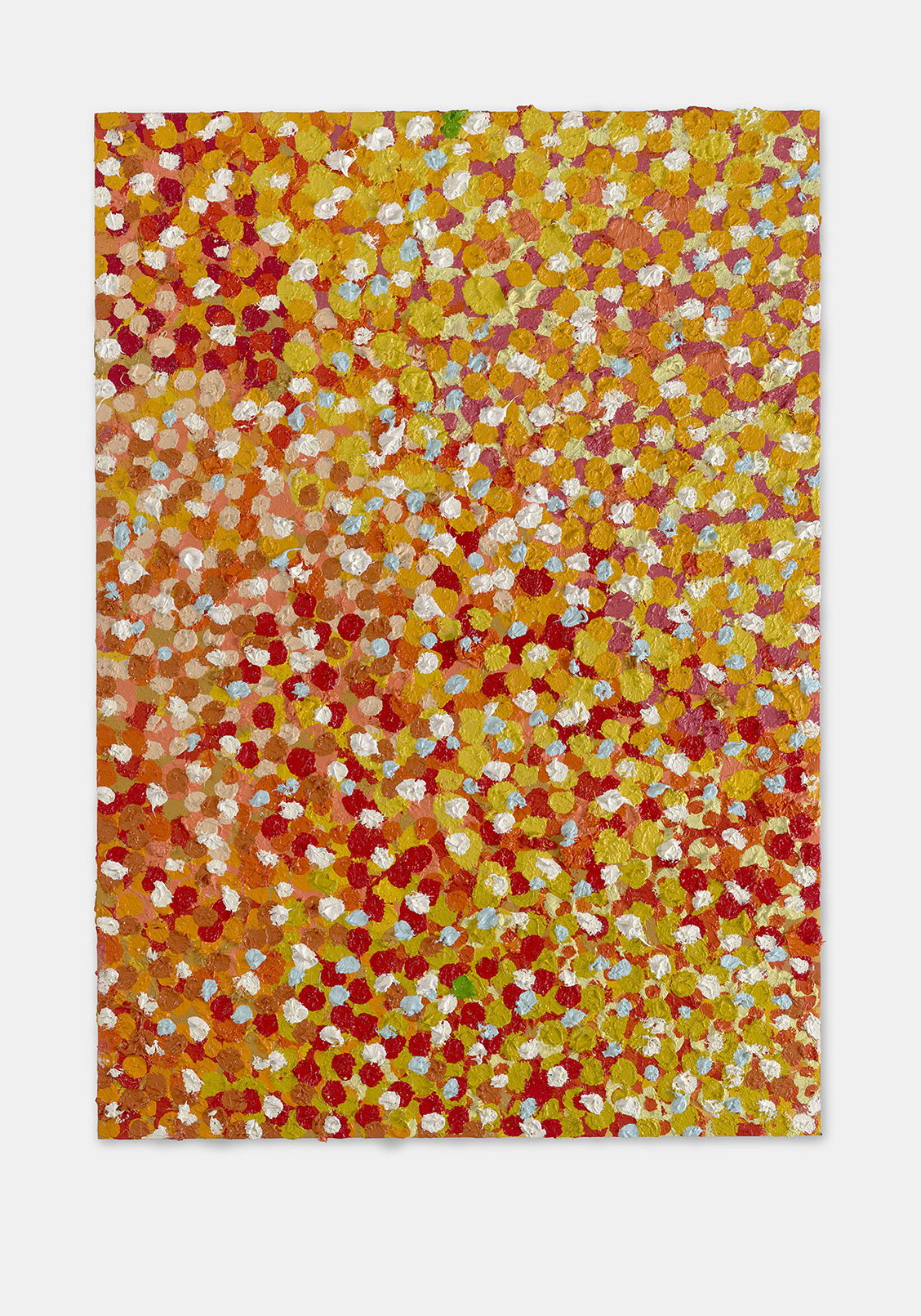 Successful Veil 1 main image