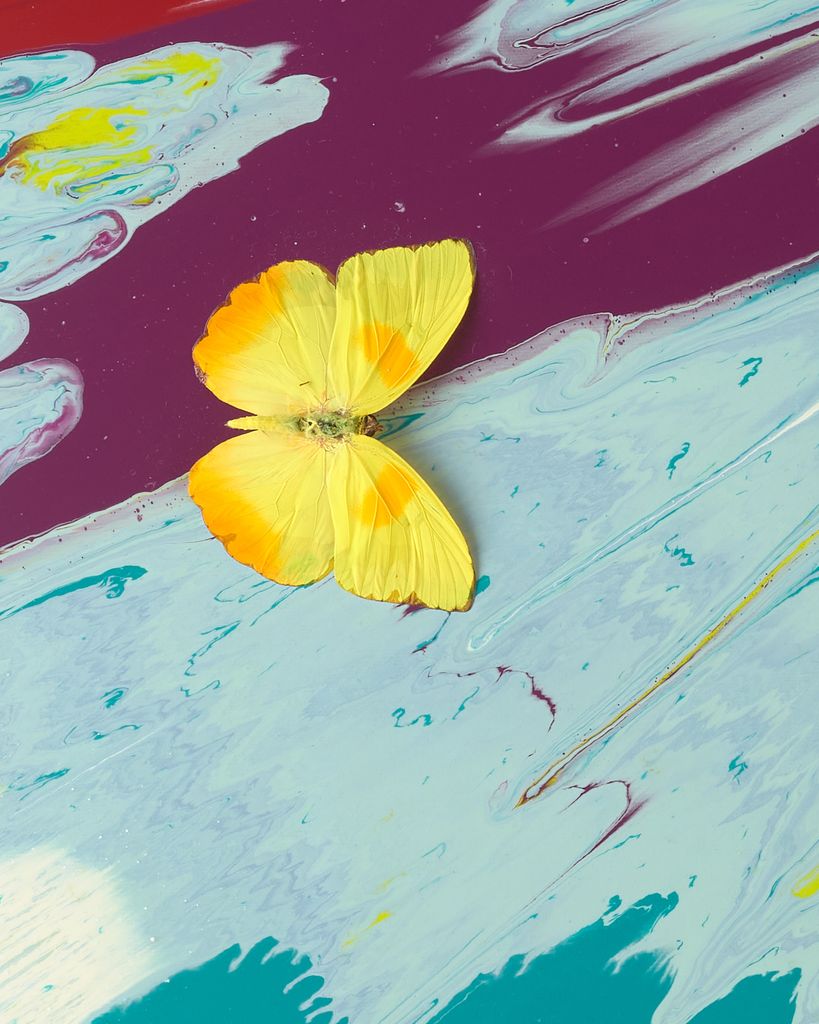 Beautiful Take My Hand if We Be Friends (with Butterflies) 3