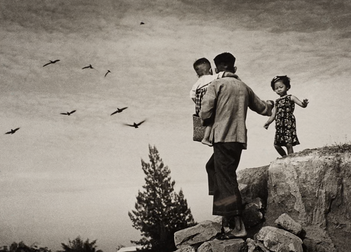 Tate's Birth of Photography Show Stops You in Your Tracks