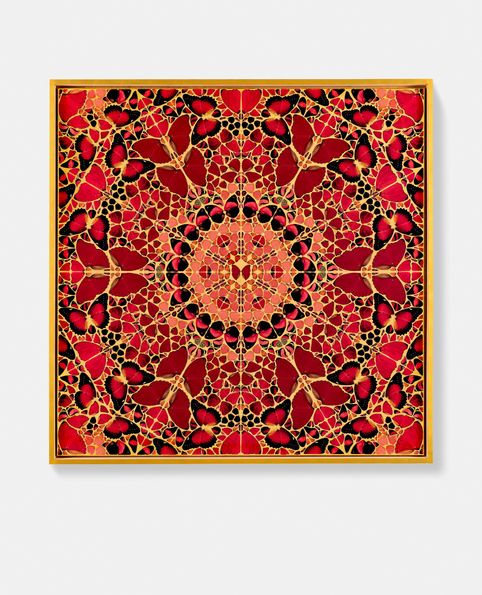 St. Helena 1 main image