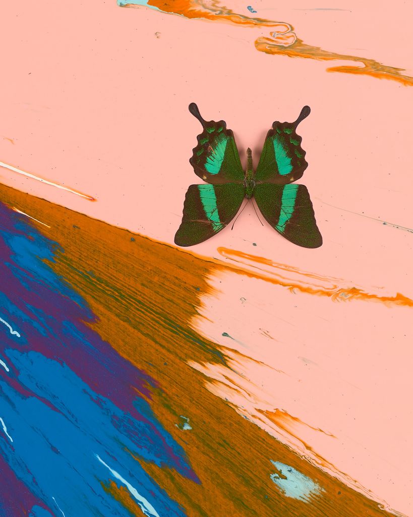 Beautiful Blue For A Boy, Welcome to the World Son Painting (with Butterflies) 3