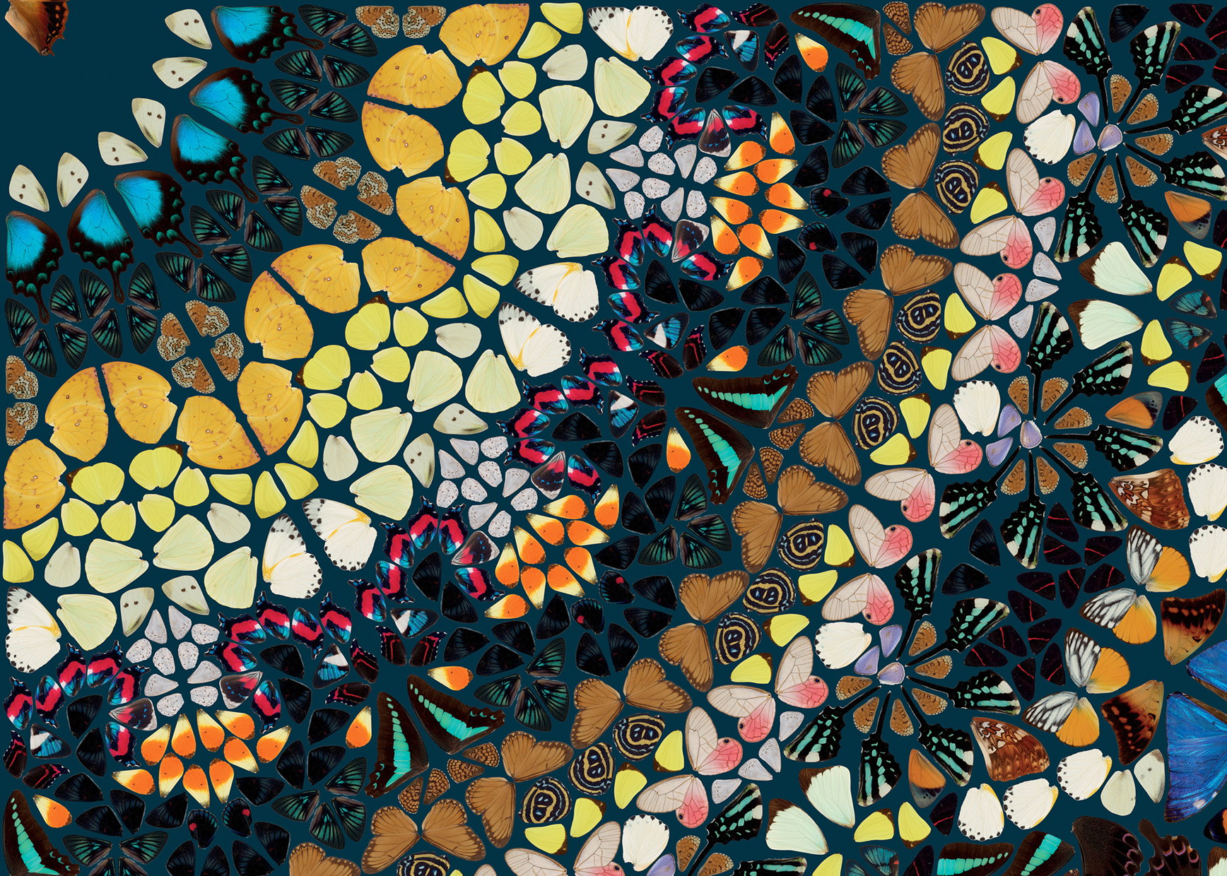 The Kaleidoscopes by Damien Hirst | HENI Editions