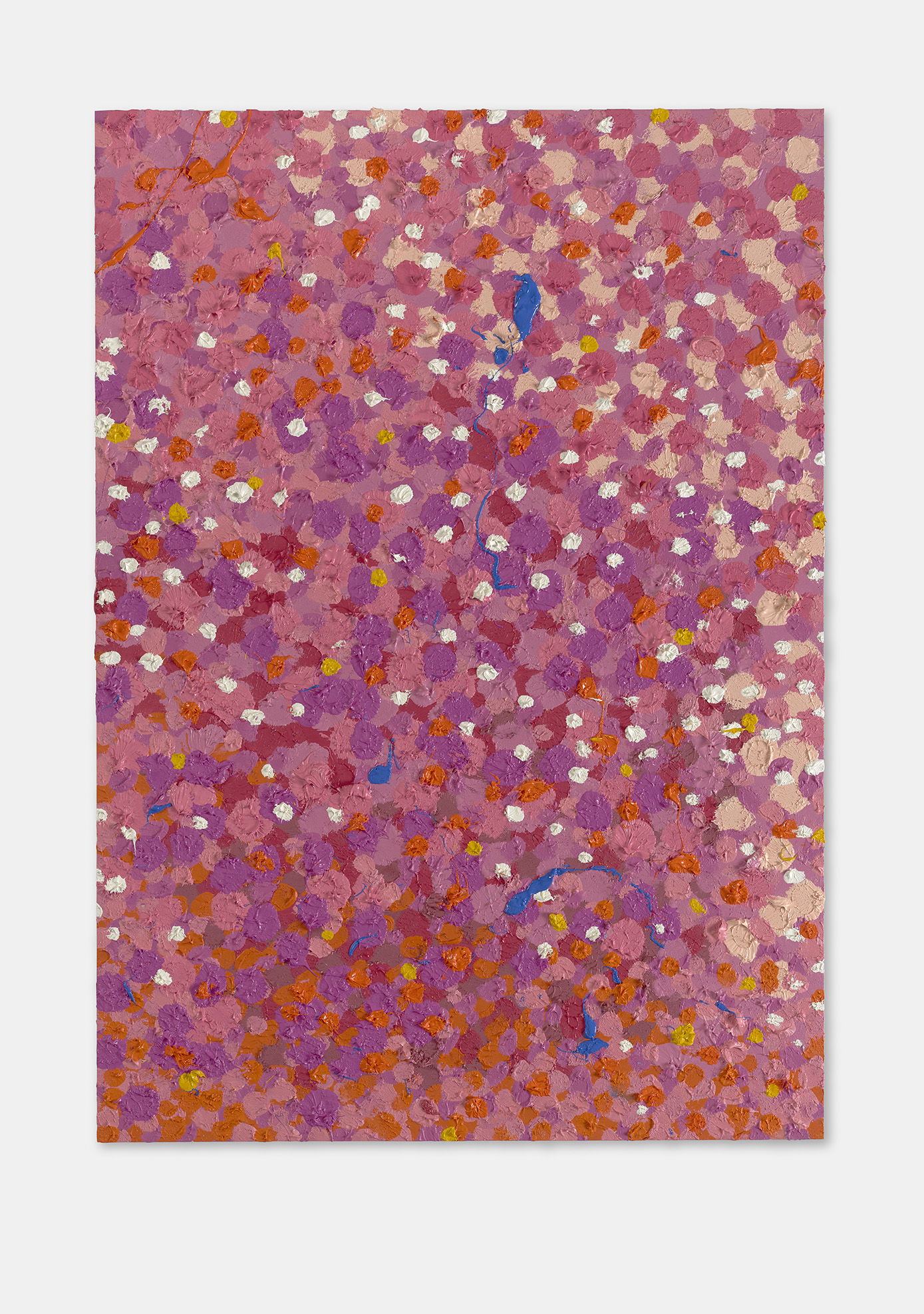 Blissful Veil 1 main image