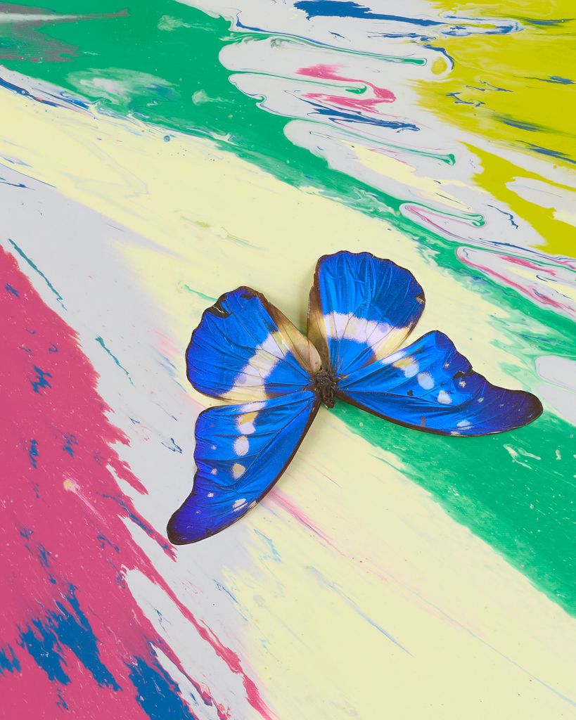 Beautiful Chemical Messenger of Joy Painting (with Butterflies) 3