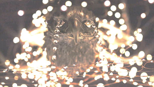 Dorsia Elevated Miami Art Week