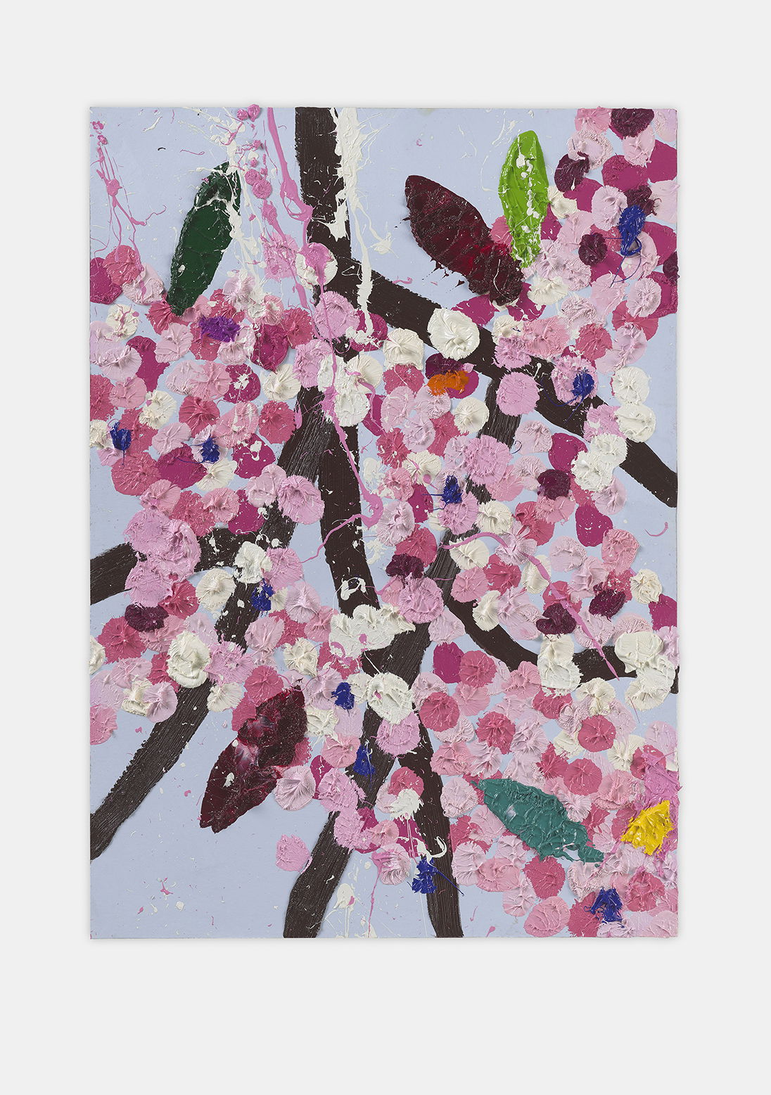 Focused Blossom 1 main image