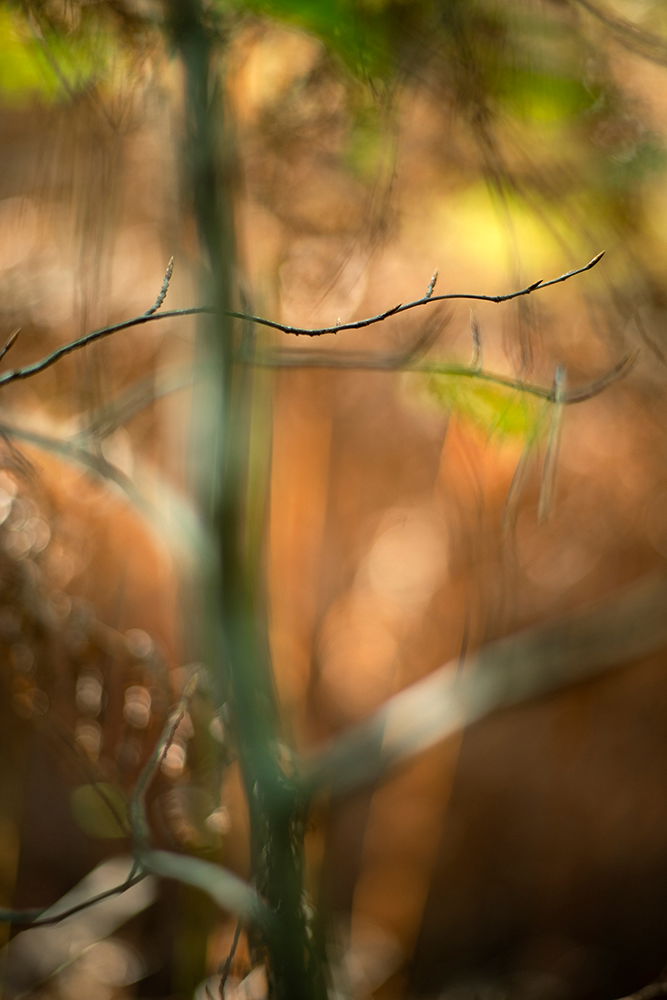 Terri Weifenbach | HENI News Profile