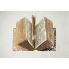 Dictionary (1991). Sold for $713,000 in 2007. Image courtesy of Sotheby's