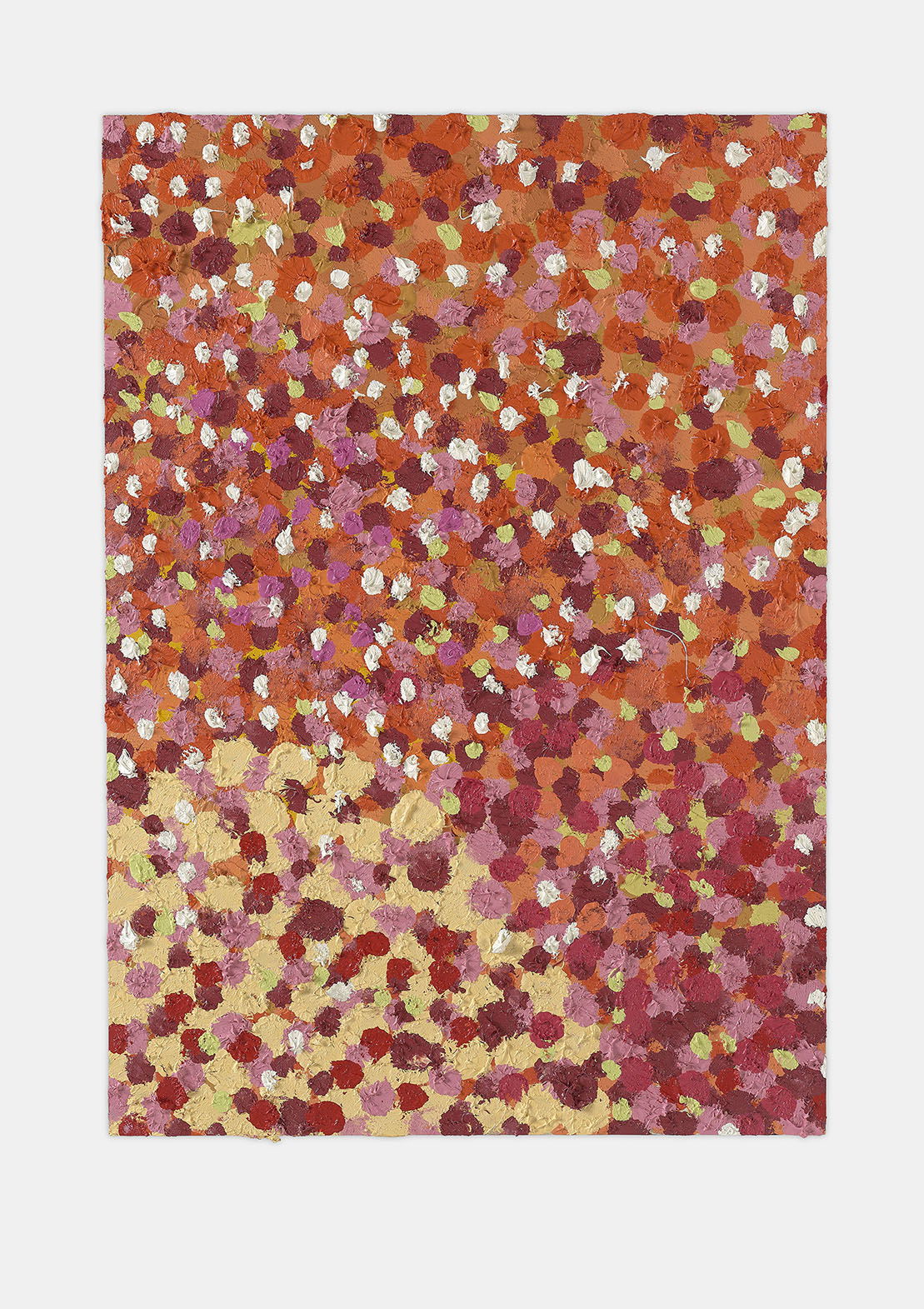 Exquisite Veil 1 main image