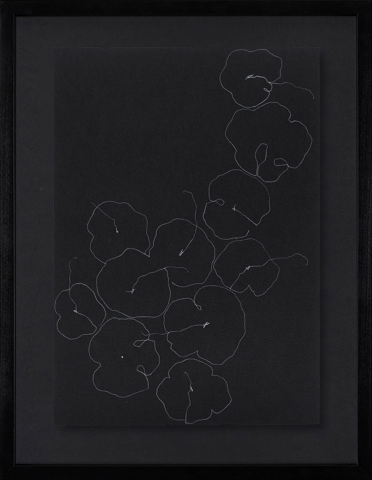 Peel Cottage Garden  1 main image