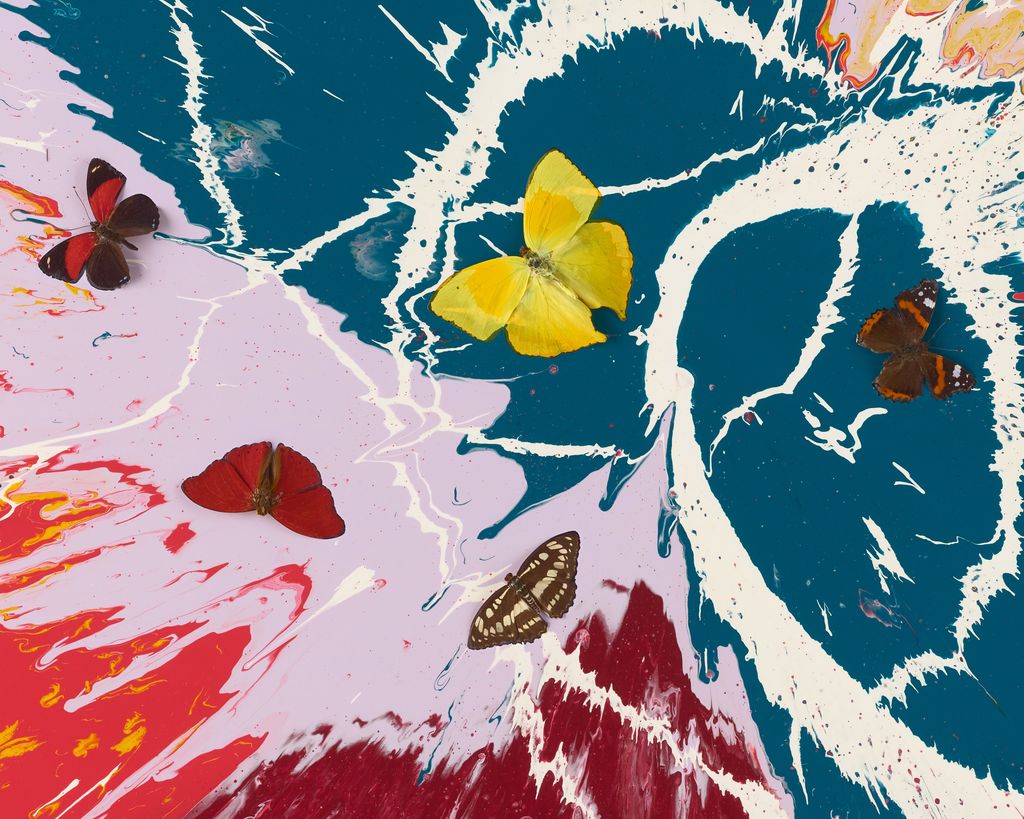 Beautiful Eye Gazing Painting (with Butterflies) 4