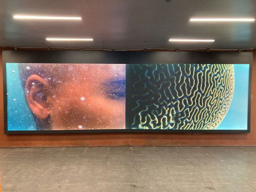 Nadia Huggins: Transformation No. 4 (Baltic)