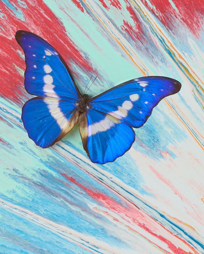 Beautiful It Came From Outer Space Painting (with Butterflies) 3