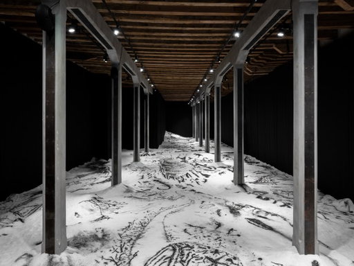 Venice Biennale 2026: Argentina’s Matías Duville on volition and regulation