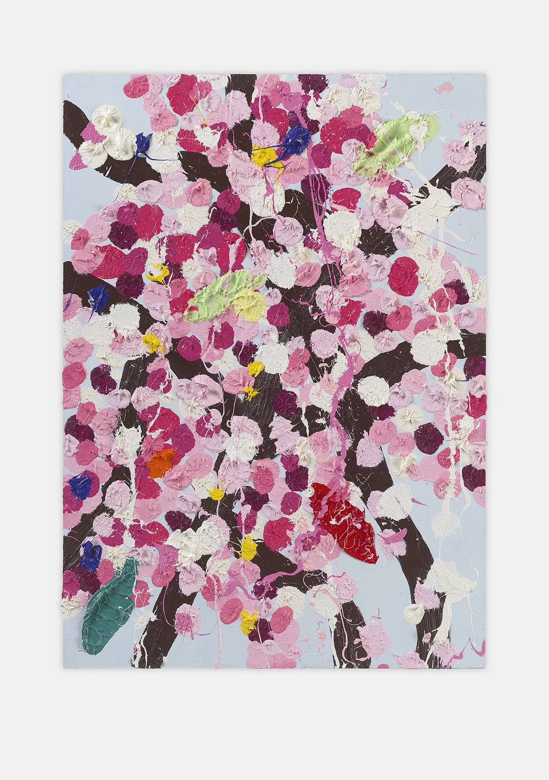 Clear Blossom 1 main image