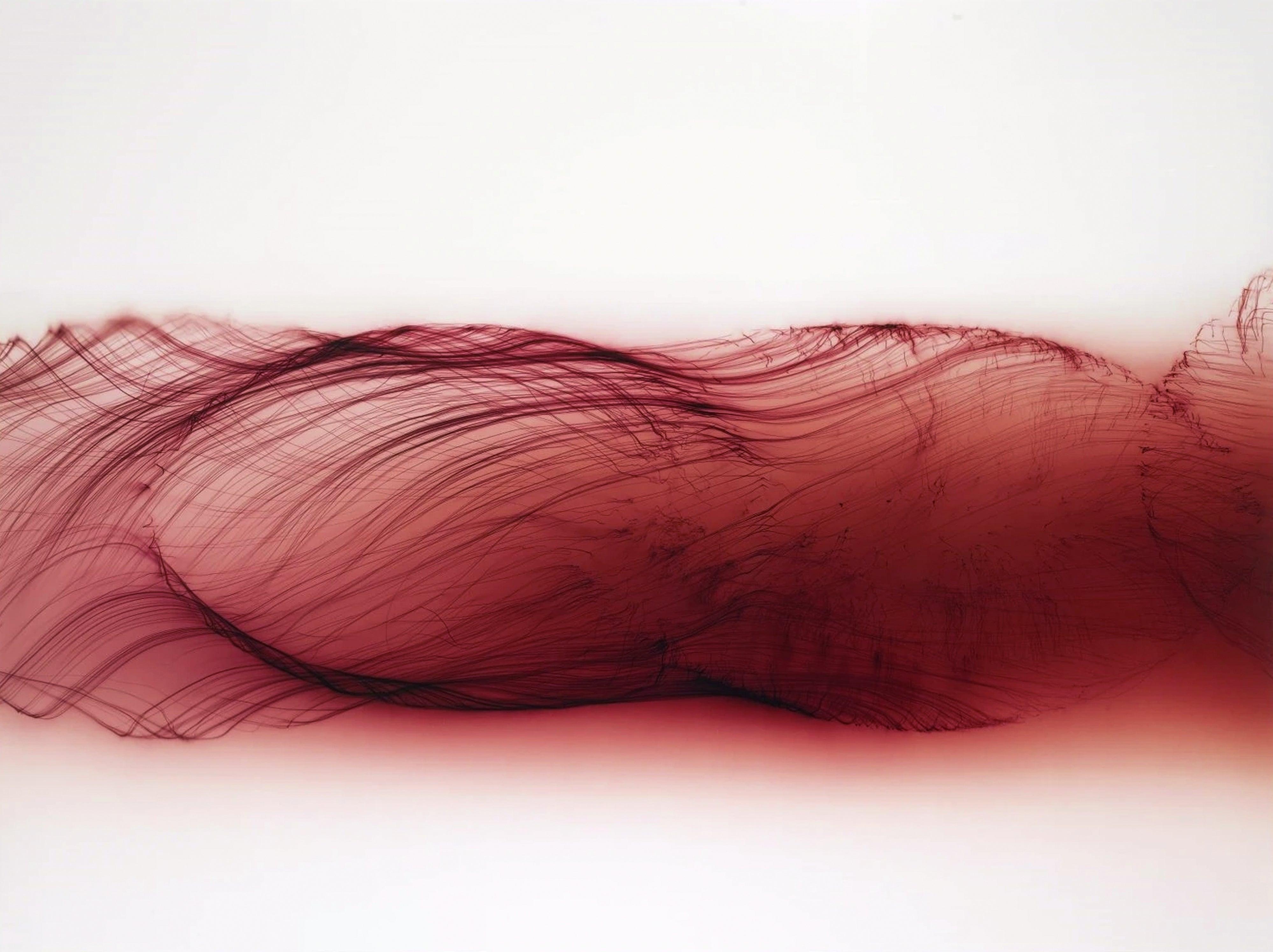 Wolfgang Tillmans Work Sells for $309,600 But Delivers a 53