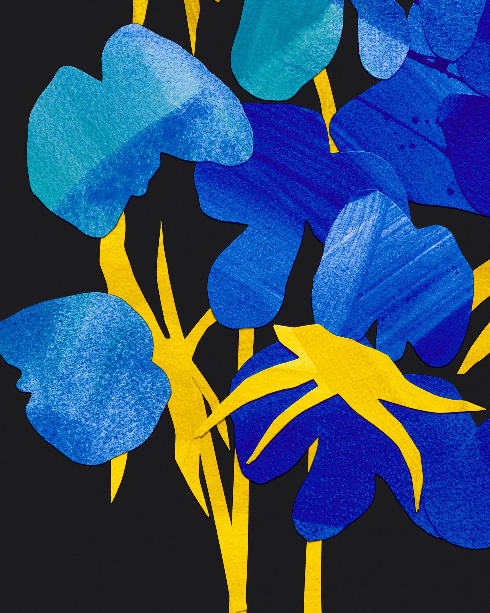 Midnight Flowering image #2