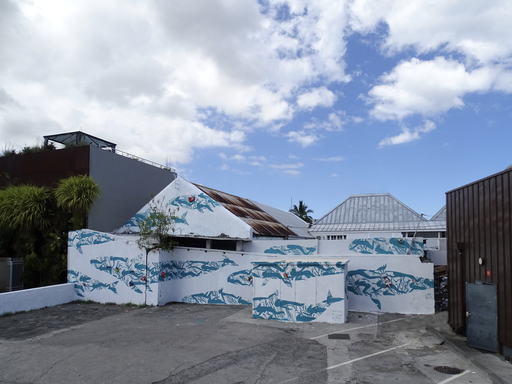 From Coral to Cosmos: Luison × de la Mano Shape a New Biodiverse Mythology