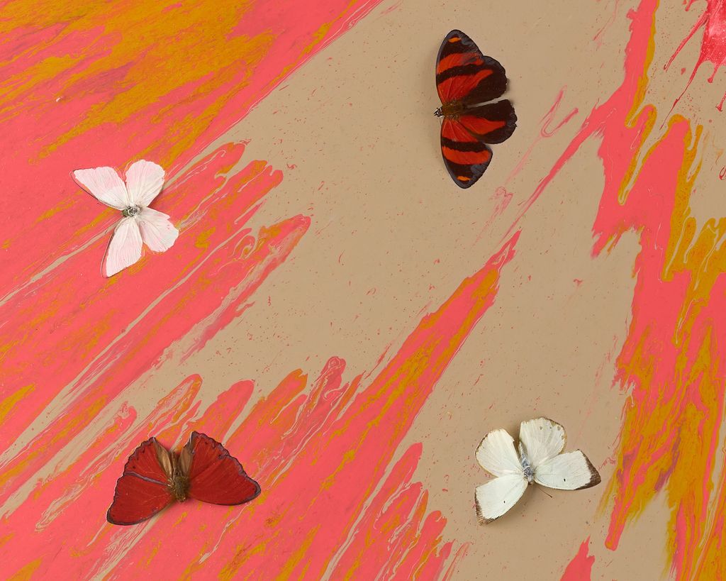 Beautiful In the Mists of Time Painting (with Butterflies) 4